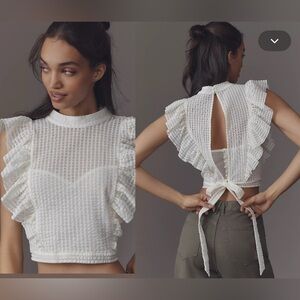 Anthropologie Maeve Crop Ruffle Mesh Top Size XL